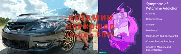 прущие грибы Белоозёрский