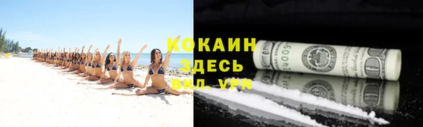 гидра Белокуриха