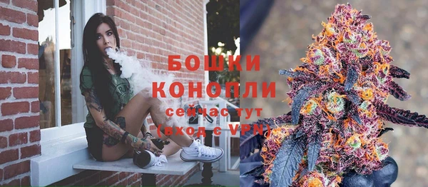 прущие грибы Белоозёрский