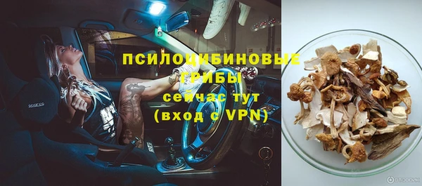 гидра Белокуриха
