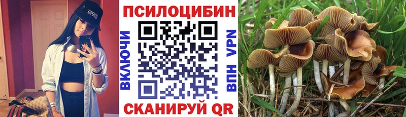 ссылка на мегу сайт  Сегежа  это официальный сайт  Псилоцибиновые грибы GOLDEN TEACHER 