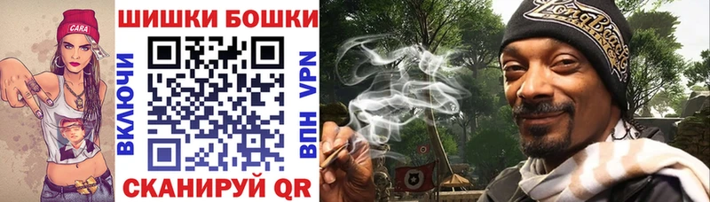 Бошки Шишки план  Сегежа 